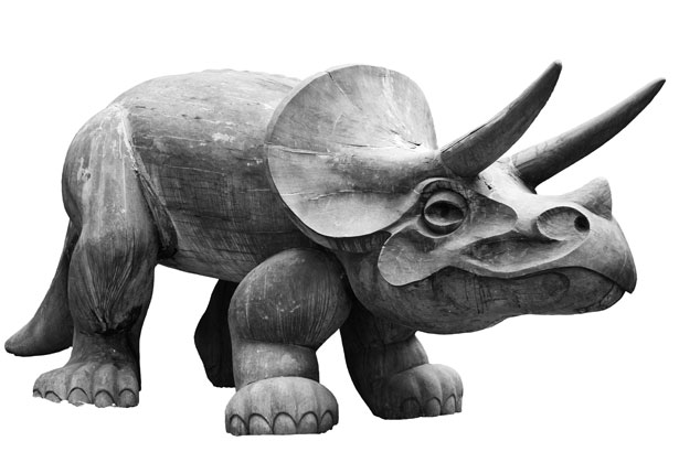 triceratops